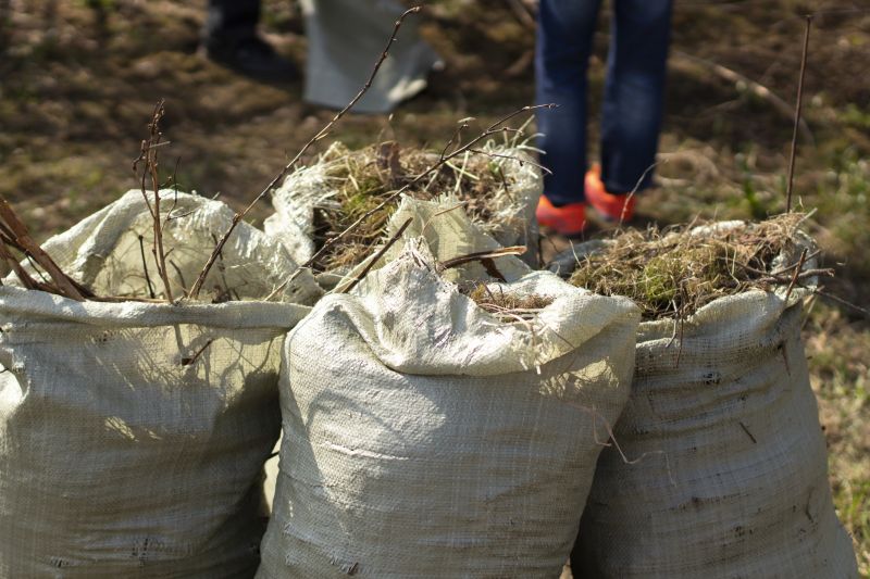 Contact About Brush Clearing