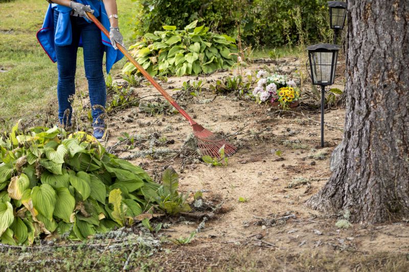 Cleared Land Post-Work